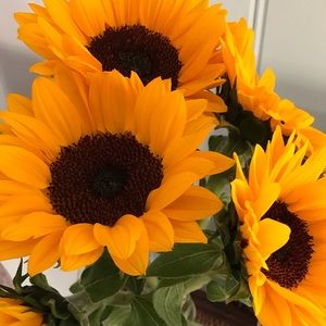 Meet your Posher, kajools